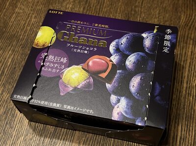 ロッテ プレミアムガーナ フルーツショコラ 完熟巨峰
